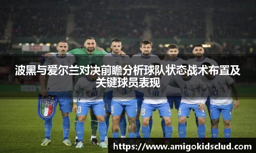 波黑与爱尔兰对决前瞻分析球队状态战术布置及关键球员表现
